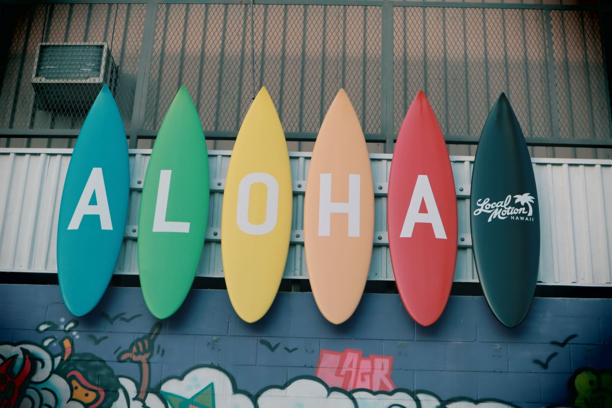 aventurka teambuilding hawaii surf